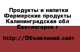 Продукты и напитки Фермерские продукты. Калининградская обл.,Светлогорск г.